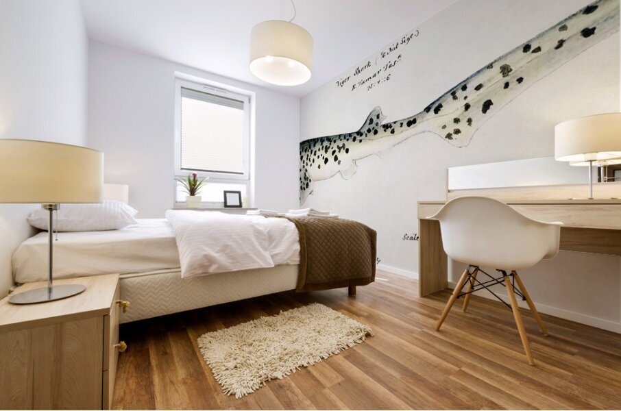 Antique fish Notorynchus cepedianus Tas : Broad seven-gill shark South Pacific Fishes by Frank Edward Clarke1849-1899.  Mural print