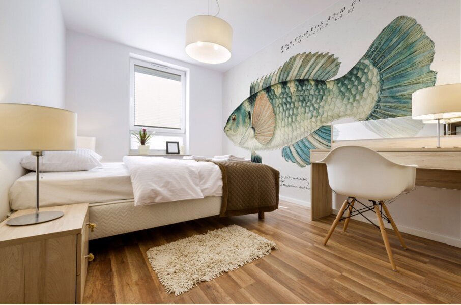 Antique fish Wrasse South Pacific Fishes by Frank Edward Clarke 1849-1899.  Mural print