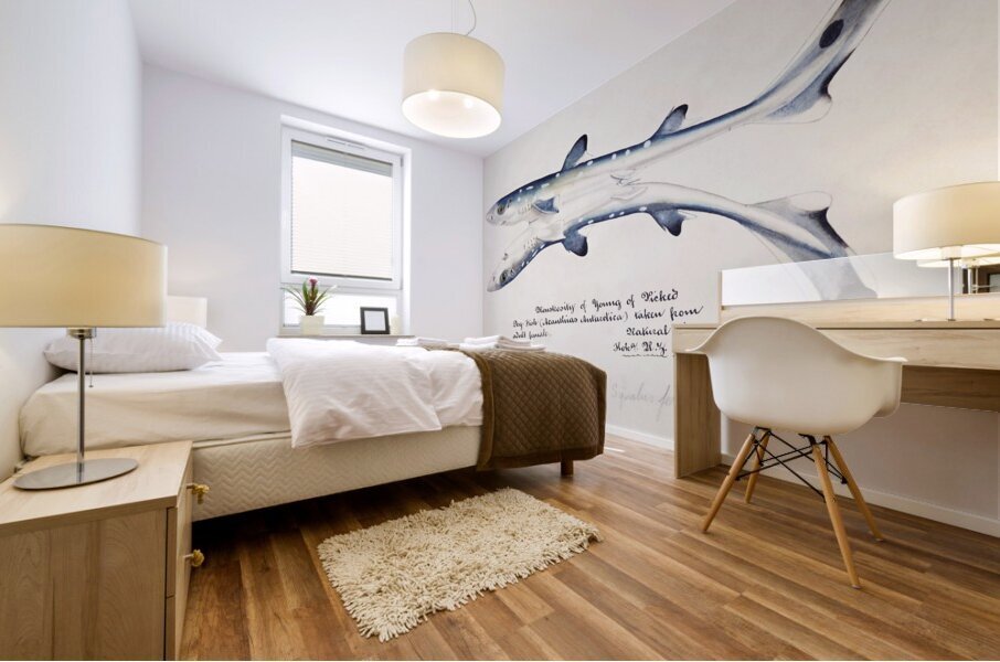 Antique fish Spotted spiny Dogfish South Pacific Fishes by Frank Edward Clarke 1849-1899.  Mural print