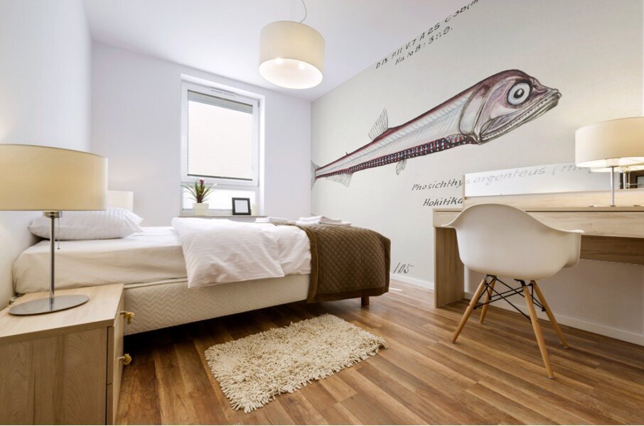 Antique fish Photichthys argenteus NZ : Lighthouse fish South Pacific Fishes by Frank Edward Clarke 1849-1899.  Mural print