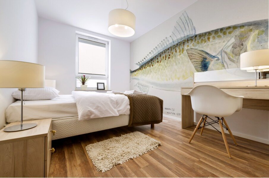 Antique fish Arripis trutta NZ : Kahawai South Pacific Fishes by Frank Edward Clarke 1849-1899.  Mural print