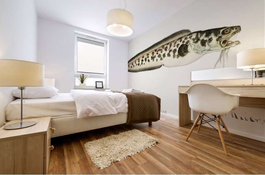 Antique fish genypterus sp ling South Pacific Fishes by Frank Edward Clarke 1849-1899.  Mural print