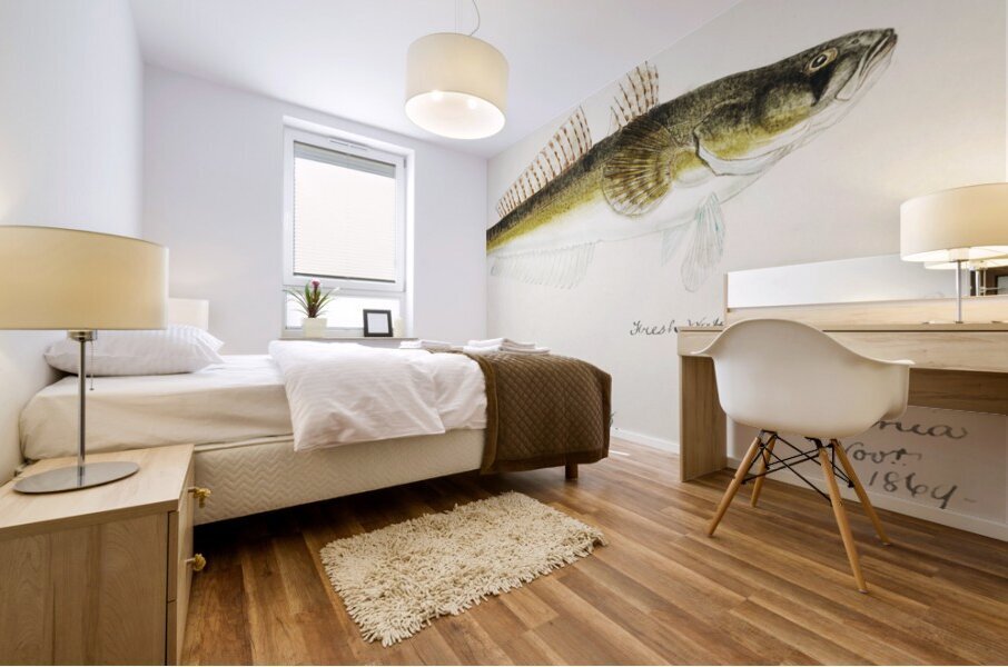 Antique fish platycephalus bassensis South Pacific Fishes by Frank Edward Clarke 1849-1899.  Mural print