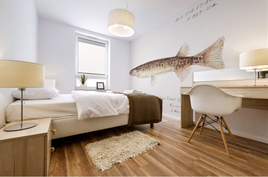 Antique fish galaxias gracilis dwarf inanga South Pacific Fishes by Frank Edward Clarke 1849-1899.  Mural print