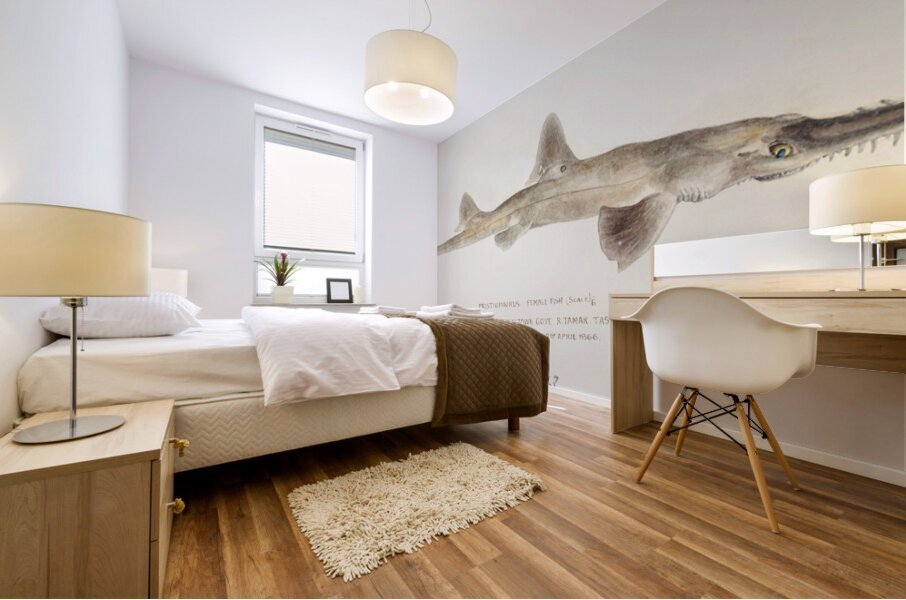 Antique fish pristiophorus nudipinnis South Pacific Fishes by Frank Edward Clarke 1849-1899.  Mural print