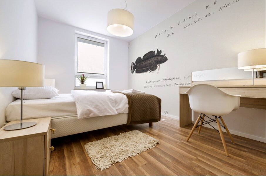 Antique fish latridopsis forsteri copper moki South Pacific Fishes by Frank Edward Clarke 1849-1899.  Mural print