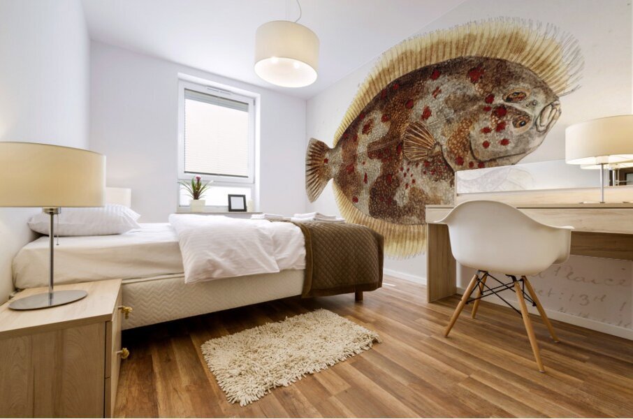 Antique fish Rhombosolea retiaria NZ : Black flounder South Pacific Fishes by Frank Edward Clarke 1849-1899.  Mural print