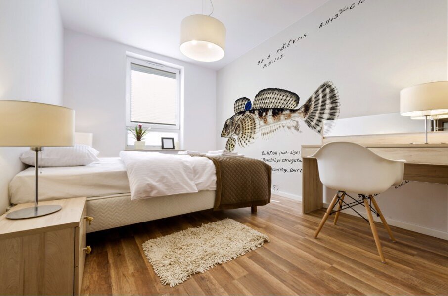 Antique Thornfish South Pacific Fishes by Frank Edward Clarke 1849-1899.  Mural print