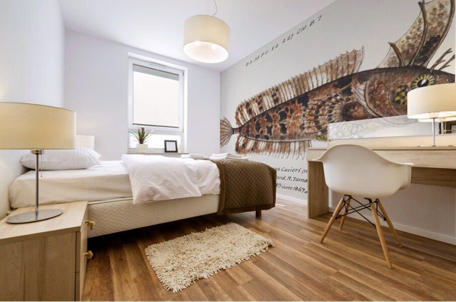 Antique fish possibly cristiceps australis weedfish South Pacific Fishes by Frank Edward Clarke 1849-1899.  Impression murale