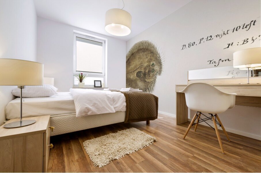 Antique fish possibly ammotretis sp flounder South Pacific Fishes by Frank Edward Clarke 1849-1899.  Mural print