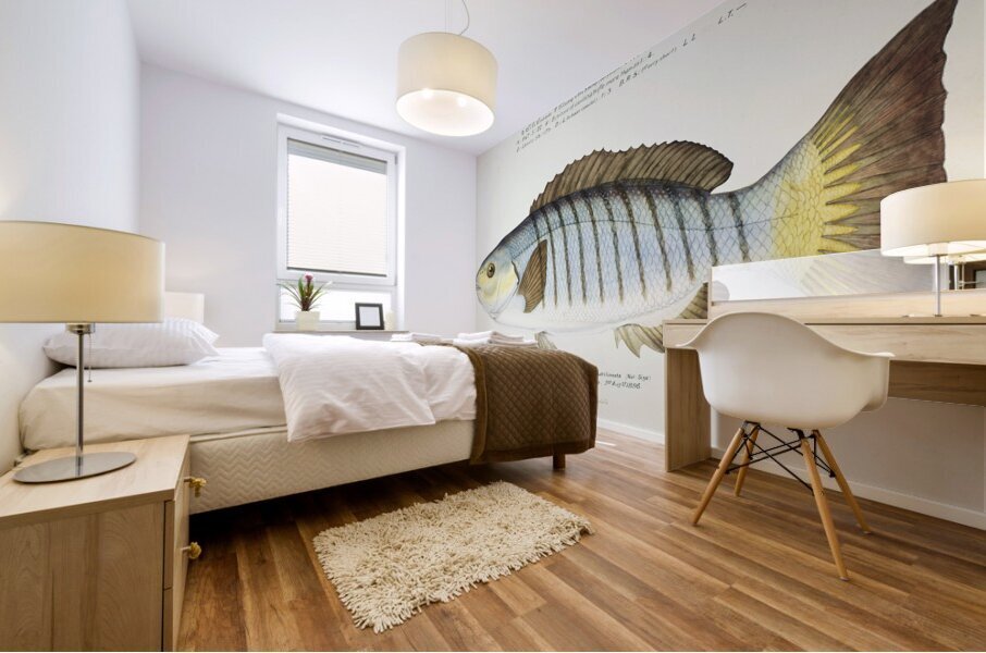 Antique fish Blackfish South Pacific Fishes by Frank Edward Clarke 1849-1899.  Mural print