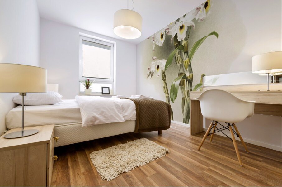 Dendrobium melanodiscus from Reichenbachia Orchids 1888-1894 illustrated by Frederick Sander 1847-1920.  Mural print