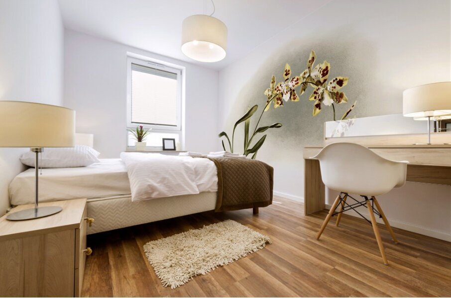 Odontoglossum excellens from Reichenbachia Orchids 1888-1894 illustrated by Frederick Sander 1847-1920.  Mural print