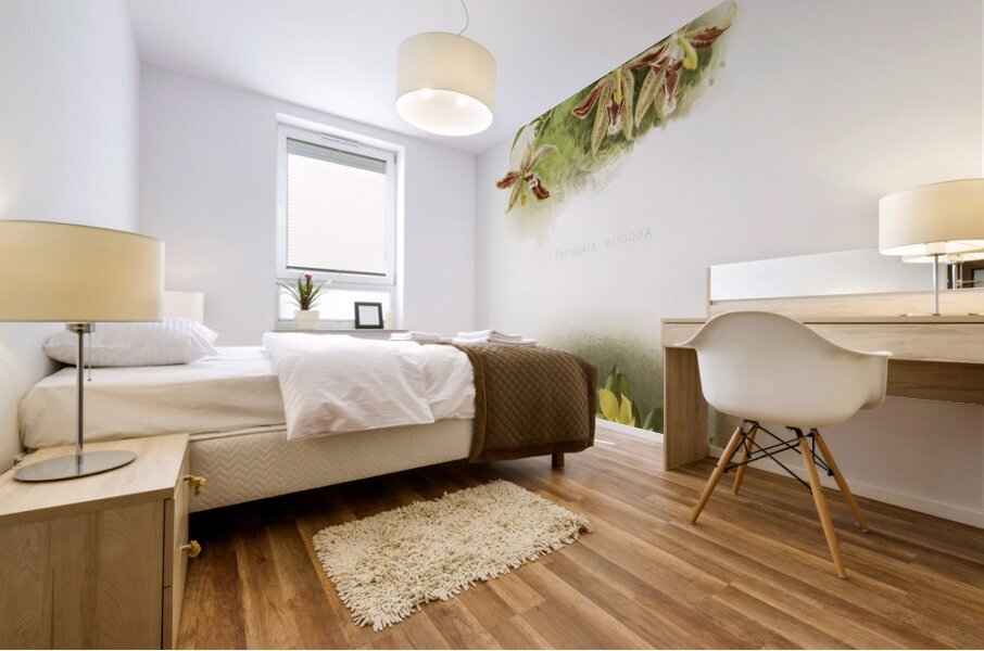 Paphinia rugosa Zygopetalum xanthinum from Reichenbachia Orchids 1888-1894 illustrated by Frederick Sander 1847-1920.  Mural print