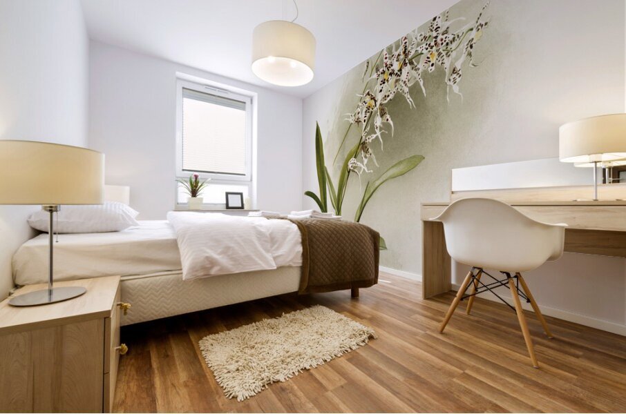 Odontoglossum nævium from Reichenbachia Orchids 1888-1894 illustrated by Frederick Sander 1847-1920.  Mural print