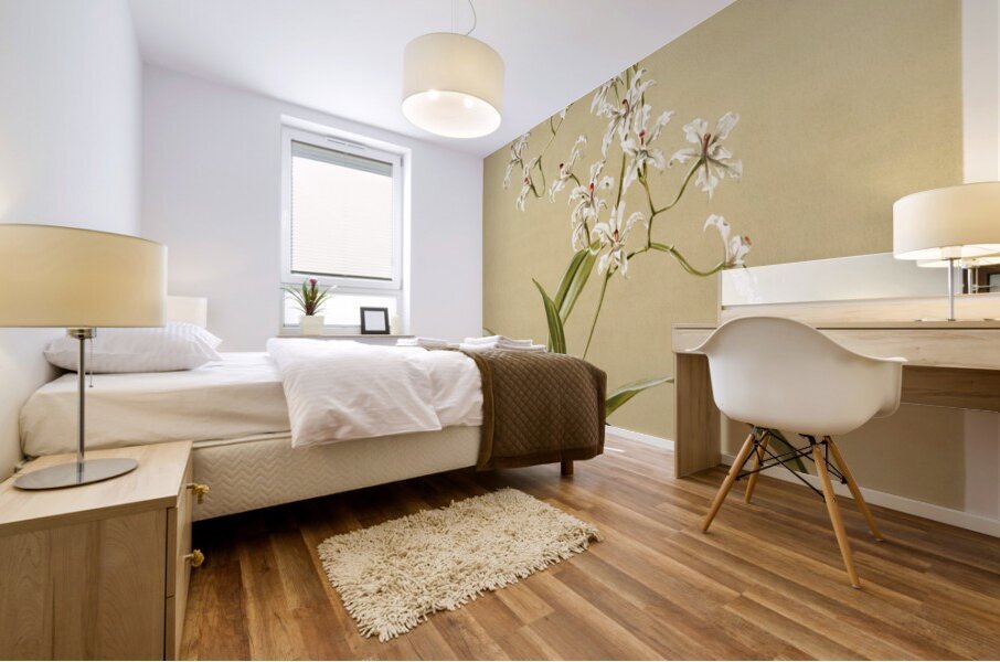 Odontoglossum ramosissimum from Reichenbachia Orchids 1888-1894 illustrated by Frederick Sander 1847-1920.  Mural print