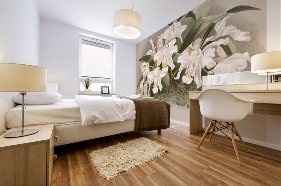 Coelogyne cristata maxima from Reichenbachia Orchids 1888-1894 illustrated by Frederick Sander 1847-1920.  Mural print