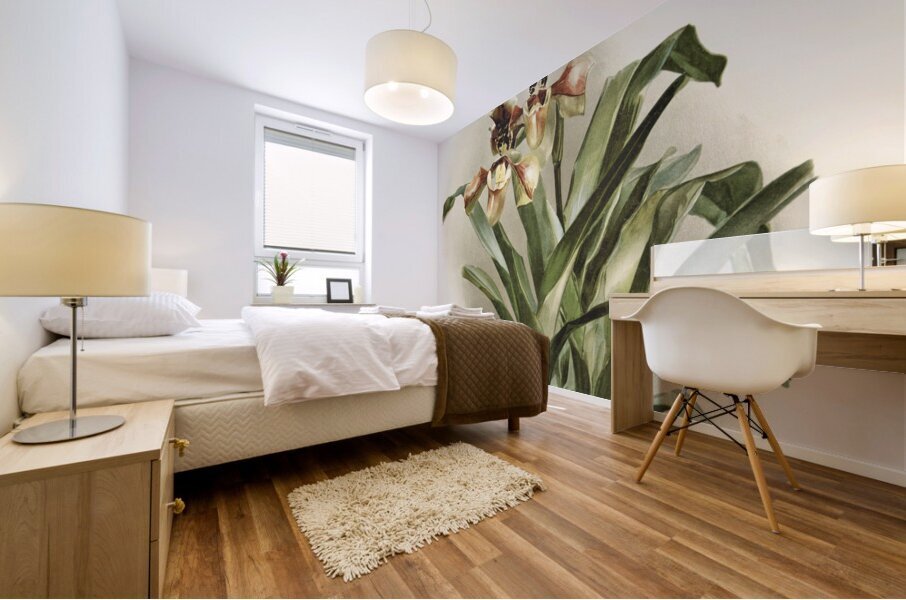 Coelogyne cristata maxima from Reichenbachia Orchids 1888-1894 illustrated by Frederick Sander 1847-1920.  Mural print