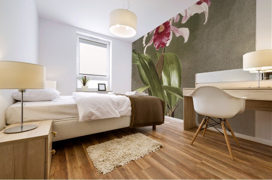 Cattleya hybrida arnoldiana from Reichenbachia Orchids 1888-1894 illustrated by Frederick Sander 1847-1920.  Mural print