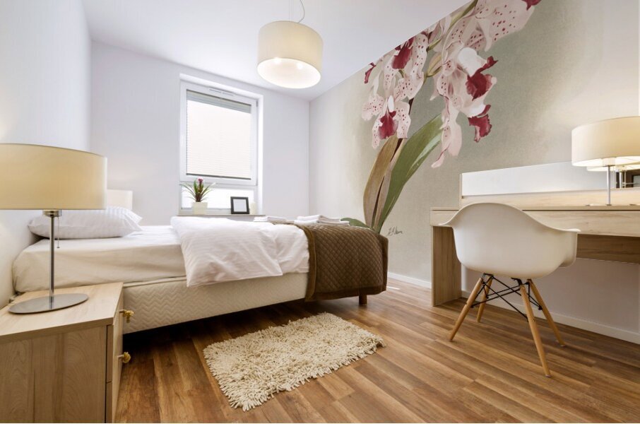 Cattleya amethystoglossa from Reichenbachia Orchids 1888-1894 illustrated by Frederick Sander 1847-1920.  Mural print