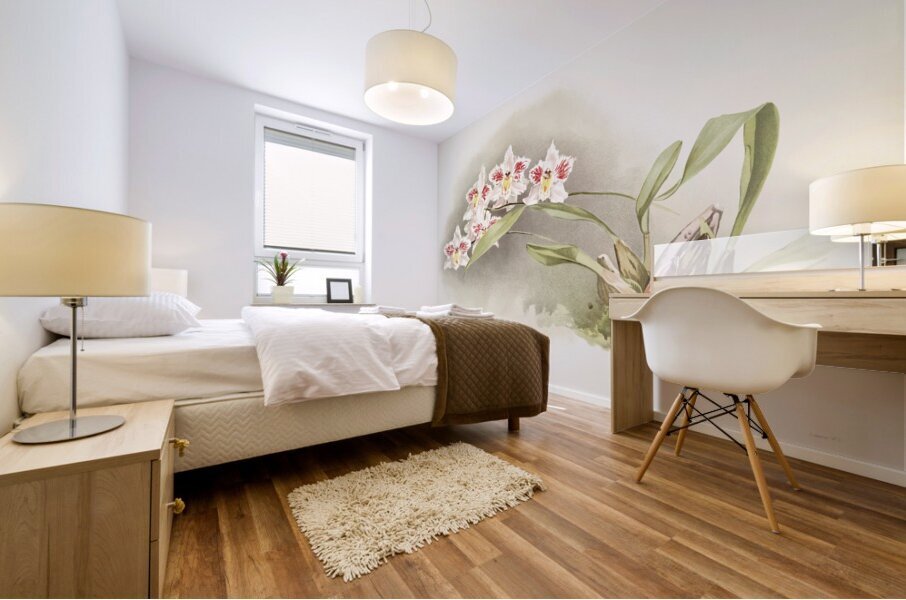 Odontoglossum crispum Kinlesideanum from Reichenbachia Orchids 1888-1894 illustrated by Frederick Sander 1847-1920.  Mural print