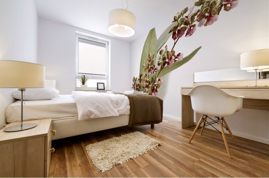 Oncidium lanceanum from Reichenbachia Orchids 1888-1894 illustrated by Frederick Sander 1847-1920.  Mural print