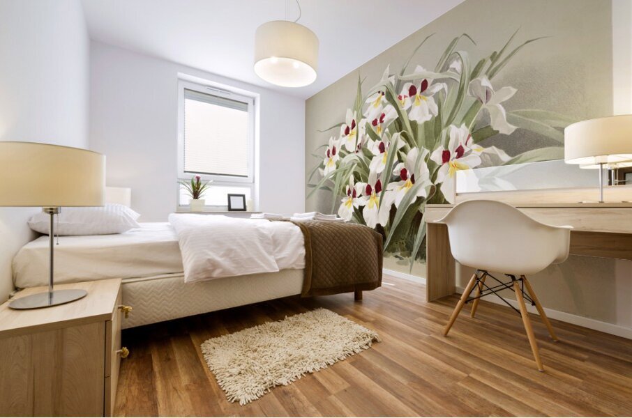 Odontoglossum roezlii from Reichenbachia Orchids 1888-1894 illustrated by Frederick Sander 1847-1920.  Mural print