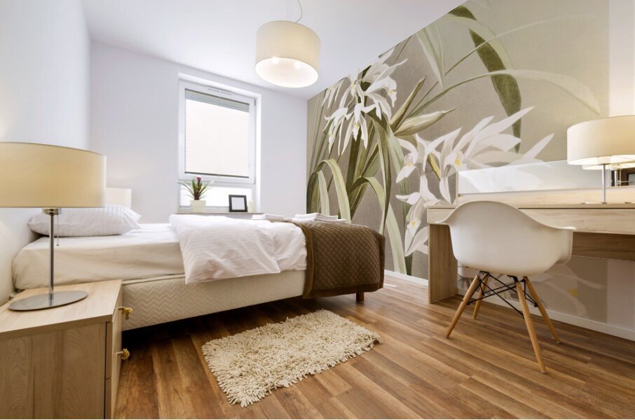 Cymbidium mastersi from Reichenbachia Orchids 1888-1894 illustrated by Frederick Sander 1847-1920.  Mural print