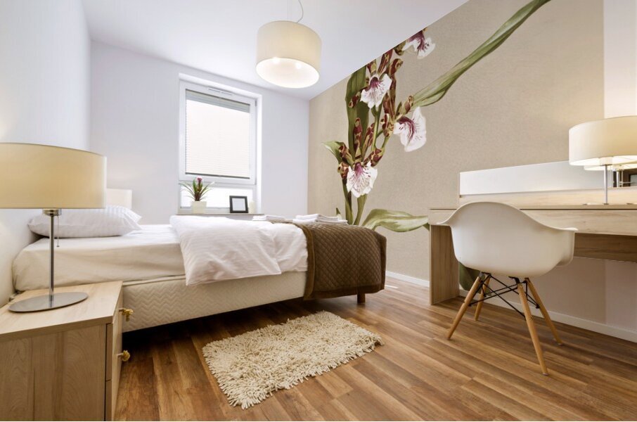 Zygopetalum crinitum from Reichenbachia Orchids 1888-1894 illustrated by Frederick Sander 1847-1920.  Impression murale