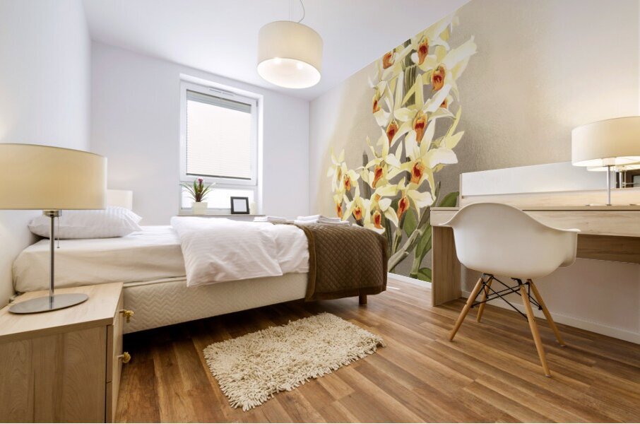 Dendrobium aureum from Reichenbachia Orchids 1888-1894 illustrated by Frederick Sander 1847-1920.  Mural print