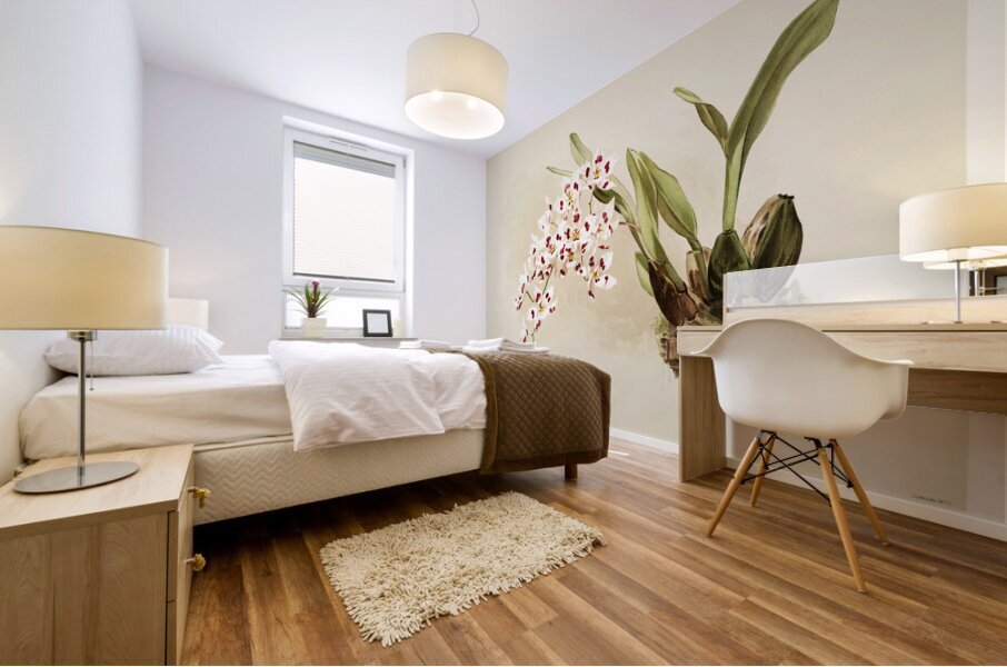 Odontoglossum pescatorei from Reichenbachia Orchids 1888-1894 illustrated by Frederick Sander 1847-1920.  Mural print