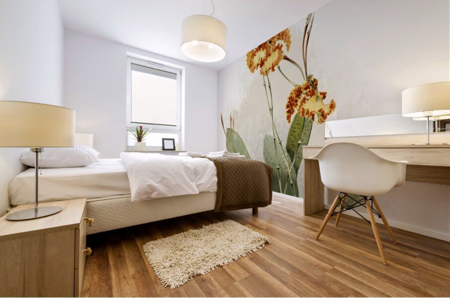 Oncidium kramerianum from Reichenbachia Orchids 1888-1894 illustrated by Frederick Sander 1847-1920.  Mural print