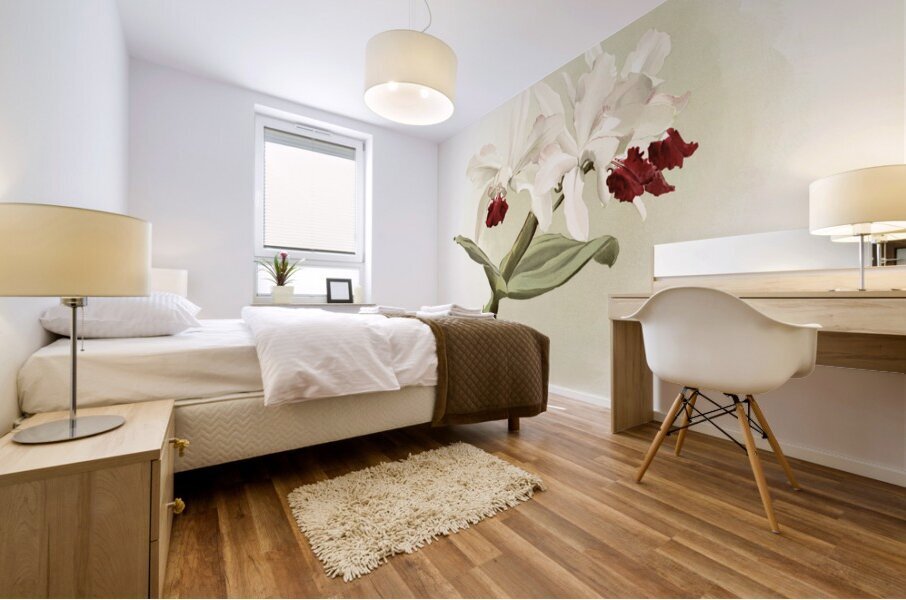 Lælia hybrida behrensiana from Reichenbachia Orchids 1888-1894 illustrated by Frederick Sander 1847-1920.  Mural print