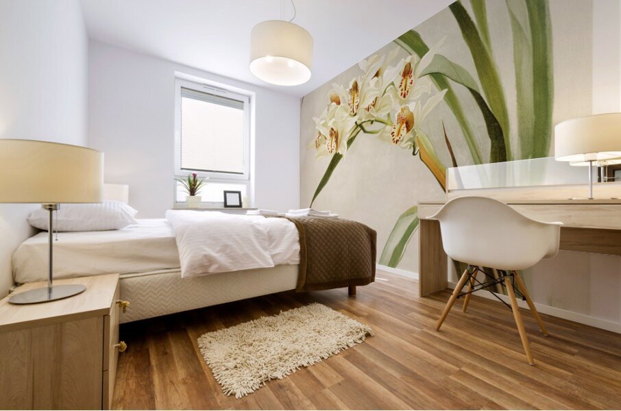 Cymbidium hybridum winnianum from Reichenbachia Orchids 1888-1894 illustrated by Frederick Sander 1847-1920.  Mural print