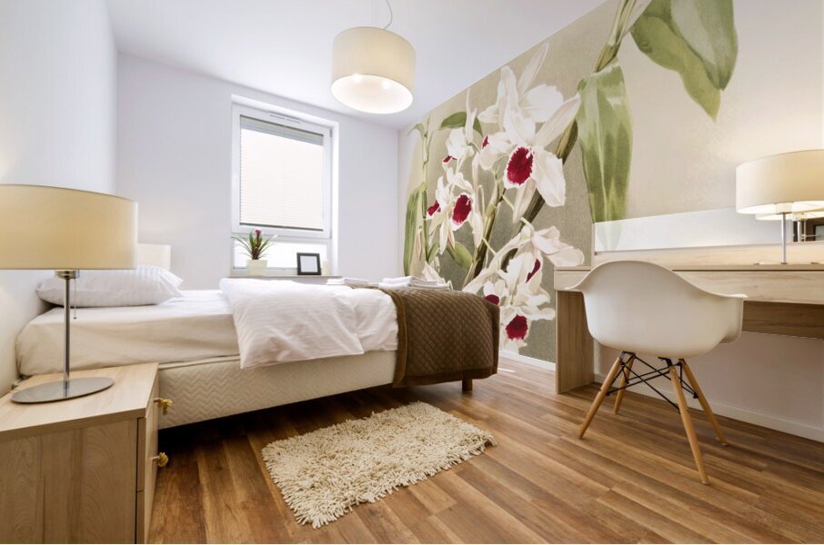 Dendrobium leechianum from Reichenbachia Orchids 1888-1894 illustrated by Frederick Sander 1847-1920.  Mural print