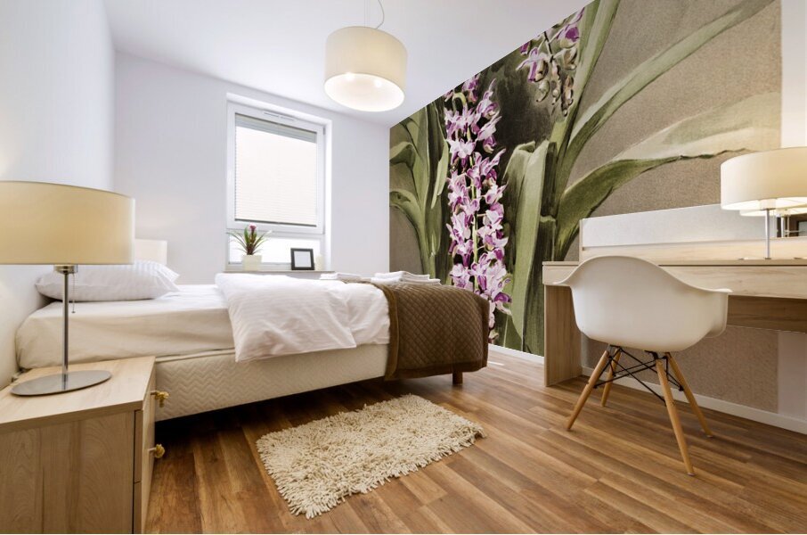 Aërides savageanum from Reichenbachia Orchids 1888-1894 illustrated by Frederick Sander 1847-1920.  Mural print