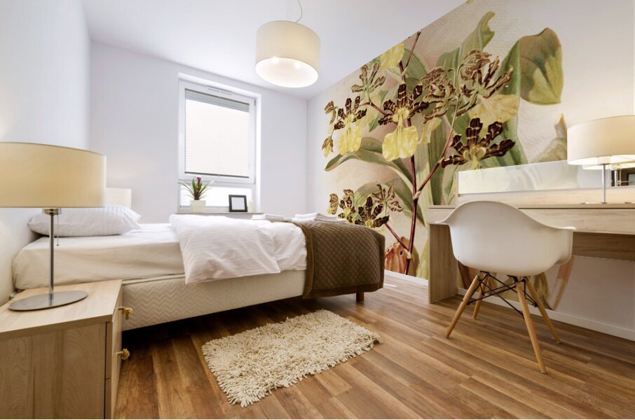 Oncidium tigrinum from Reichenbachia Orchids 1888-1894 illustrated by Frederick Sander 1847-1920.  Mural print