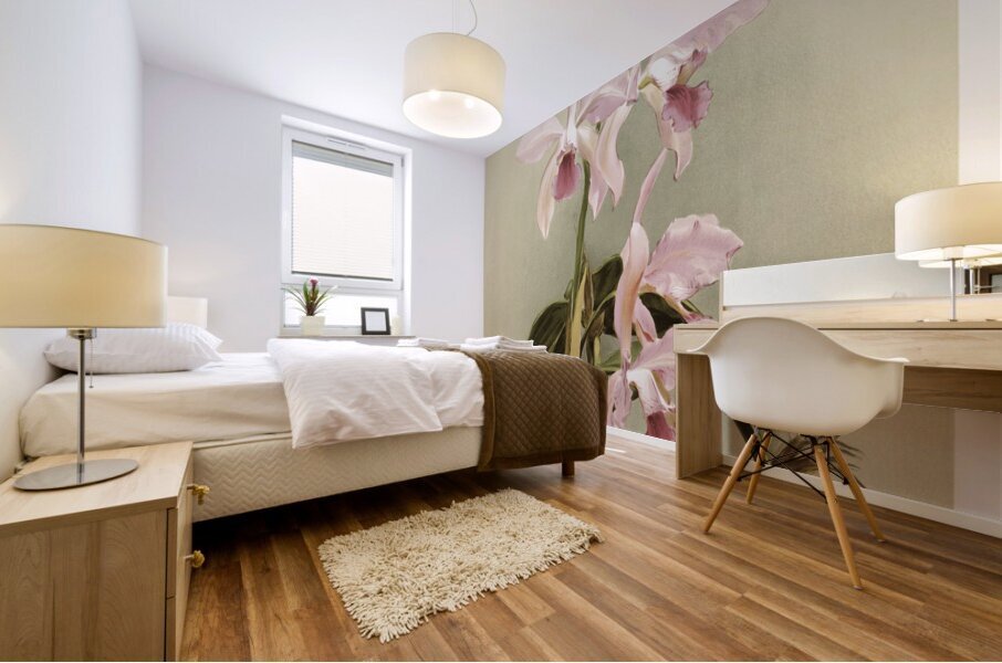 Cattleya victoria regina from Reichenbachia Orchids 1888-1894 illustrated by Frederick Sander 1847-1920.  Mural print