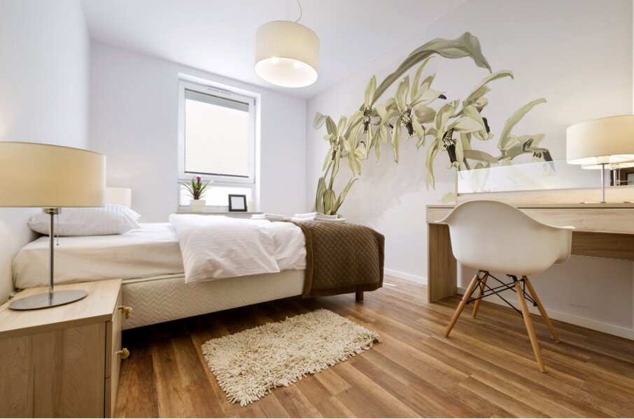 Coelogyne pandurata from Reichenbachia Orchids 1888-1894 illustrated by Frederick Sander 1847-1920.  Mural print