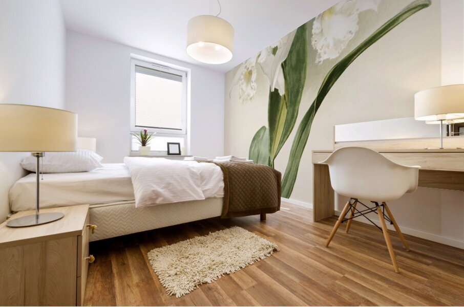 Cattleya mendelii quorndon house var from Reichenbachia Orchids 1888-1894 illustrated by Frederick Sander 1847-1920.  Mural print