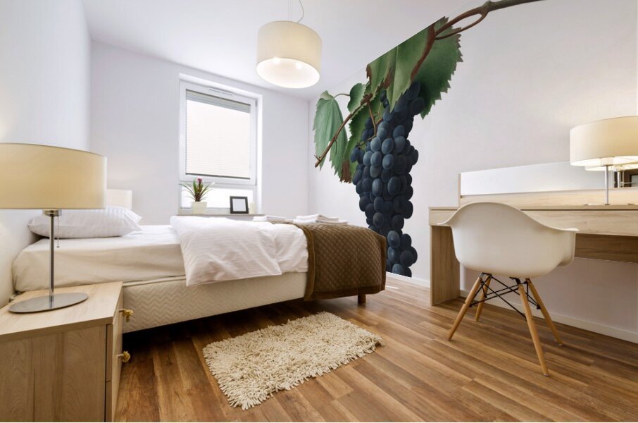 Peach Persica amygdalus from Pomona Italiana 1817 - 1839 by Giorgio Gallesio 1772-1839.  Mural print