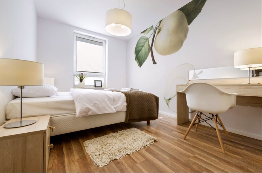 Astracan Apple Malus astracanensis from Pomona Italiana 1817 - 1839 by Giorgio Gallesio 1772-1839.  Impression murale