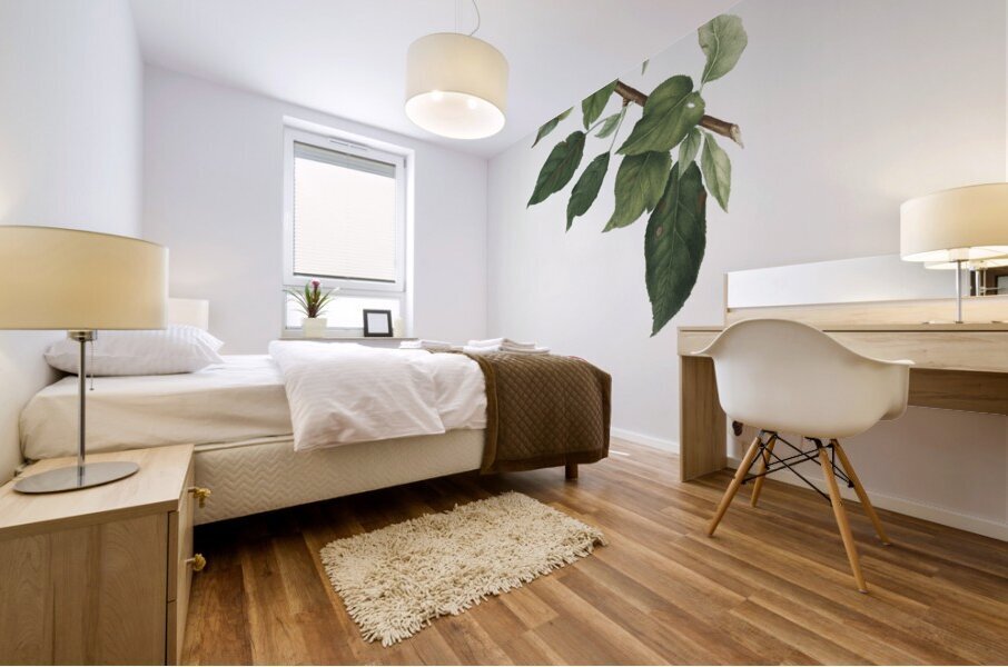 Apple Malus pumila from Pomona Italiana 1817 - 1839 by Giorgio Gallesio 1772-1839.  Mural print