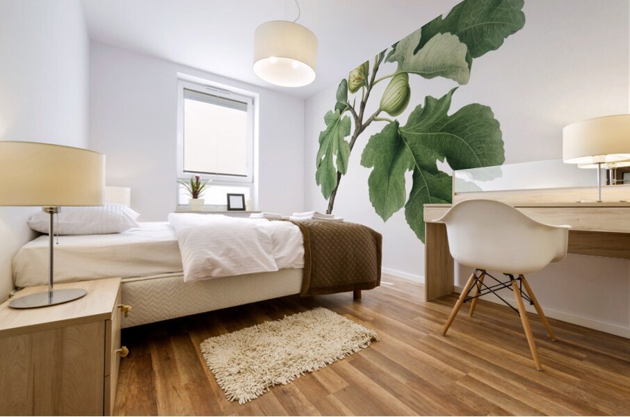 Fig Ficus carica from Pomona Italiana 1817 - 1839 by Giorgio Gallesio 1772-1839.  Mural print