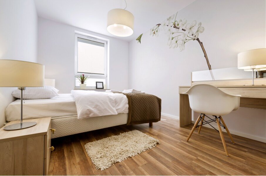 Amarena cherry flower Prunus cerasus from Pomona Italiana 1817 - 1839 by Giorgio Gallesio 1772-1839.  Mural print