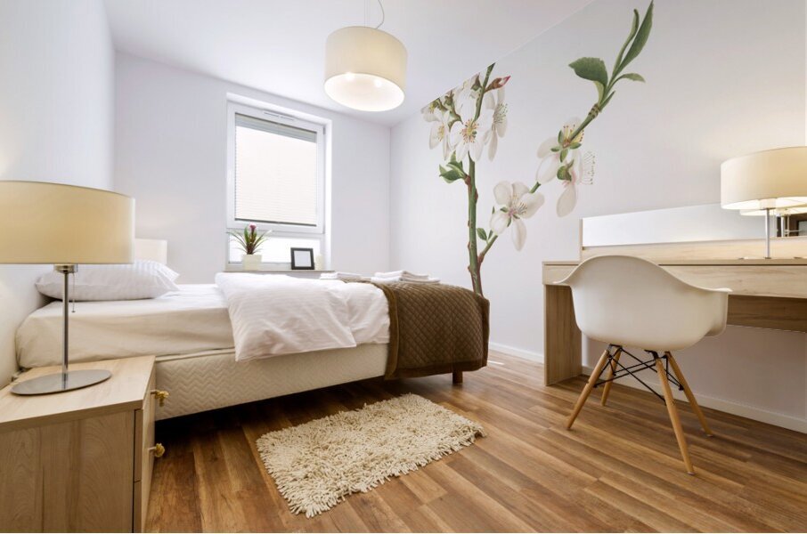 Almond tree flower Prunus dulcis from Pomona Italiana 1817 - 1839 by Giorgio Gallesio 1772-1839.  Mural print