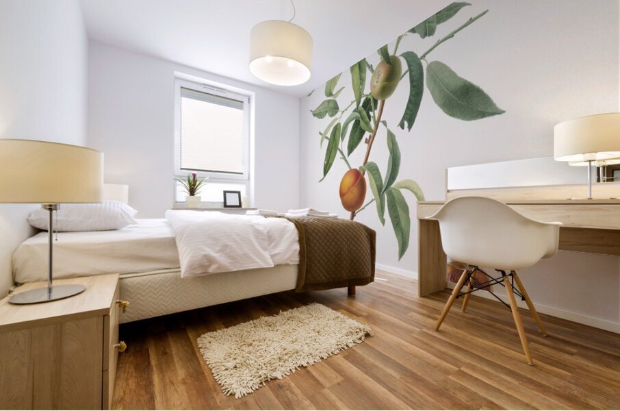 Peach Amygdalus persica iulodermis from Pomona Italiana 1817 - 1839 by Giorgio Gallesio 1772-1839.  Mural print