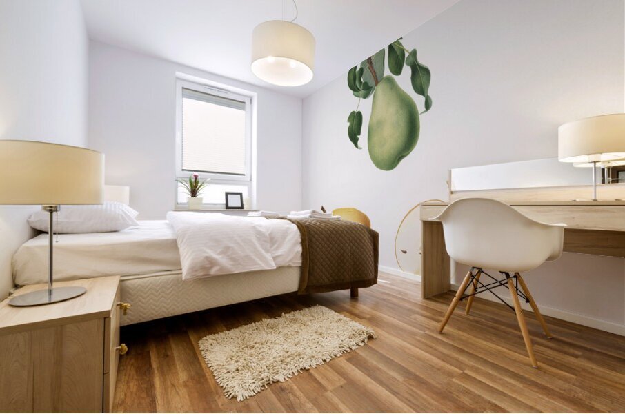 Winter citron Pyrus virgolata from Pomona Italiana 1817 - 1839 by Giorgio Gallesio 1772-1839.  Mural print