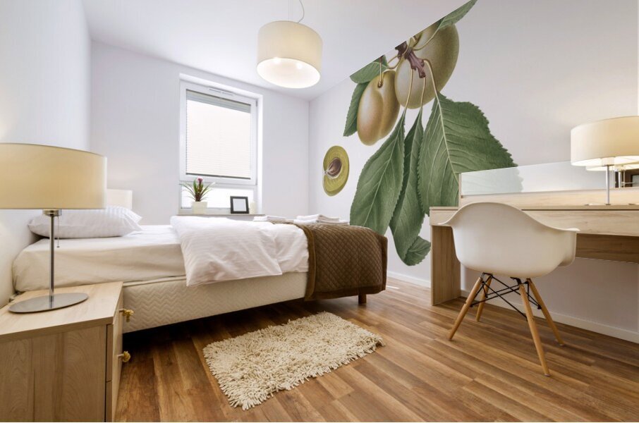 Winter citron Pyrus virgolata from Pomona Italiana 1817 - 1839 by Giorgio Gallesio 1772-1839.  Mural print