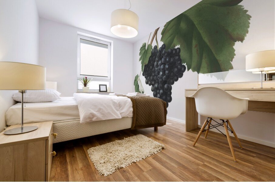 Pomona Italiana by Giorgio Gallesio 106 Mural print